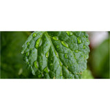 Gift SETS, Men's Beard Care Gift Set