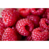 Sun Savvy Face - Sun Protection