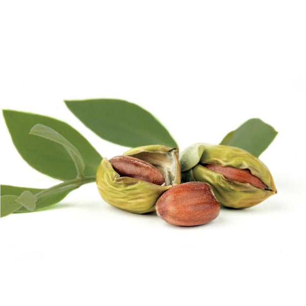 Seasonal Specials - Jojoba Silk 3-Pack