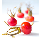 Rosehip Replenish - rich anti-aging cream