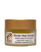 Wonder Weed - plantain infused ointment